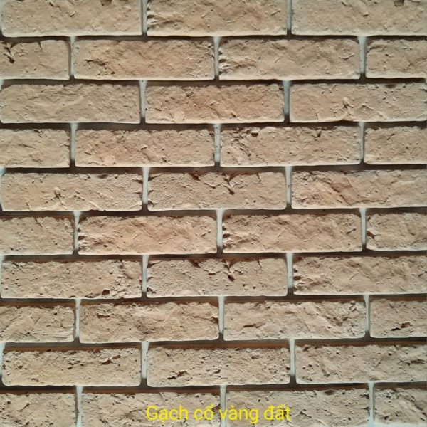 Gạch không nung cổ 5×18 vàng đất 01